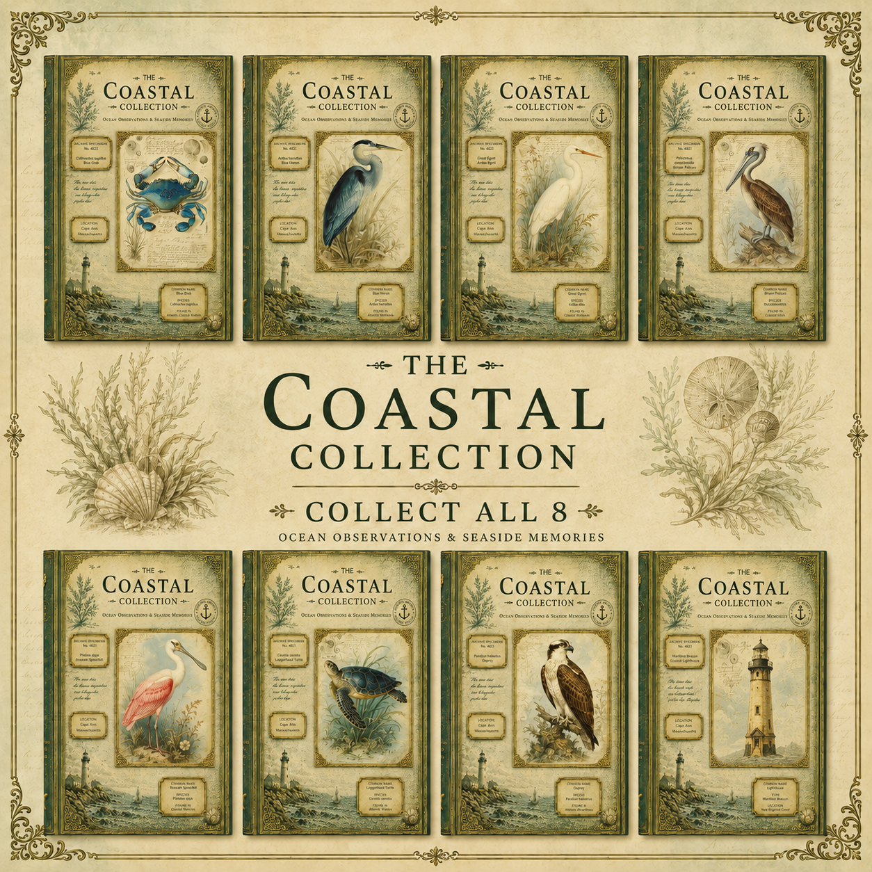 Loggerhead Turtle Coastal Journal, Personalized Nature Notebook, Natural History Journal, Sea Turtle Gift, Hardcover Journal