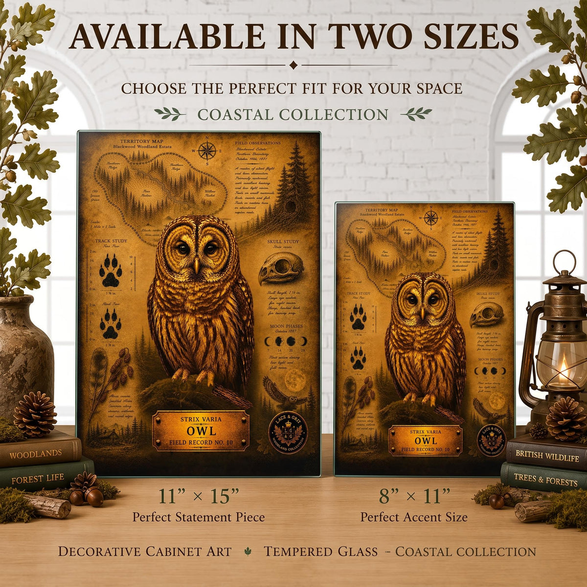 Owl Tempered Glass Art, Charcuterie Serving Board, Woodland Animal Decor, Owl Art, Nature Lover Gift