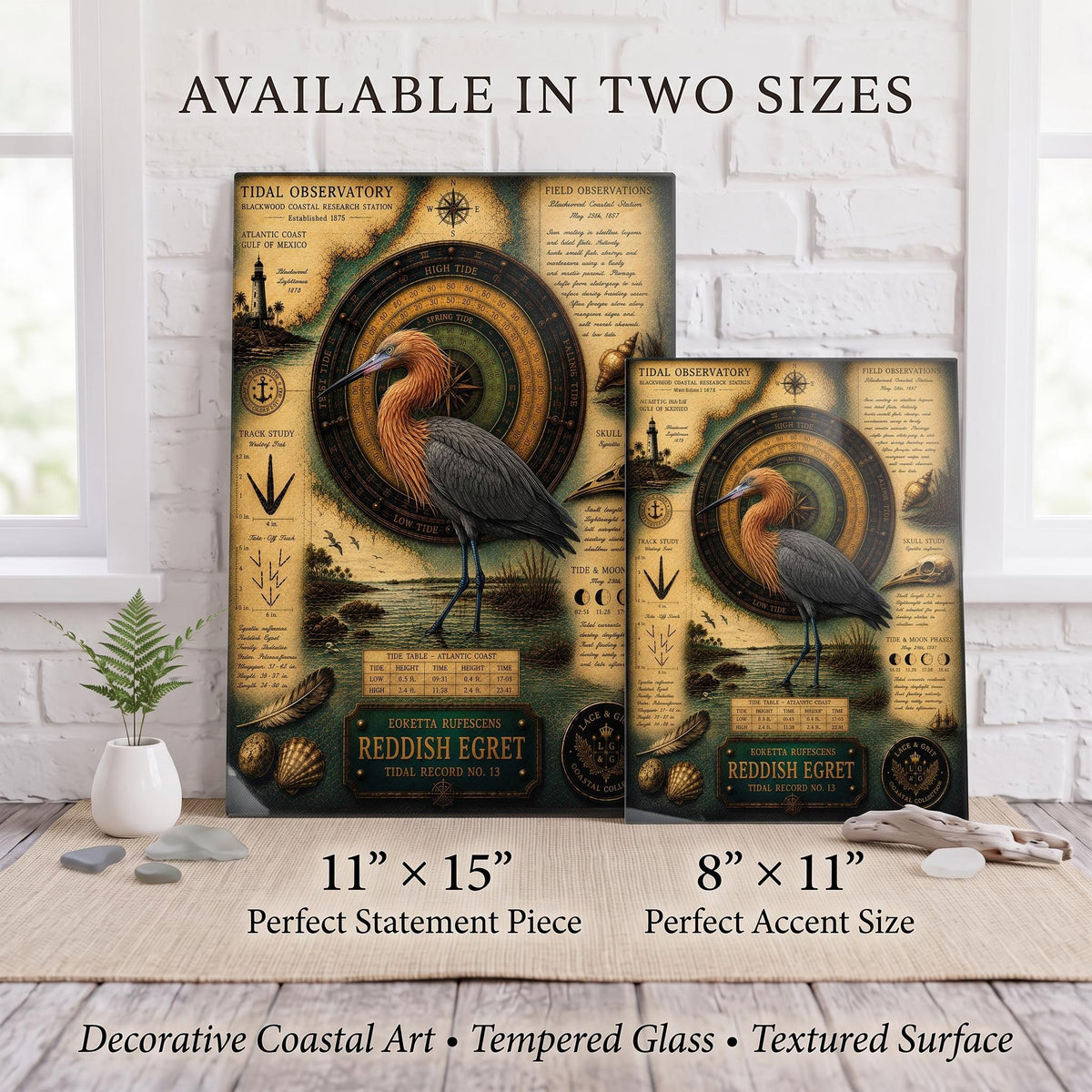Reddish Egret Tempered Glass Art Board | Coastal Field Studies