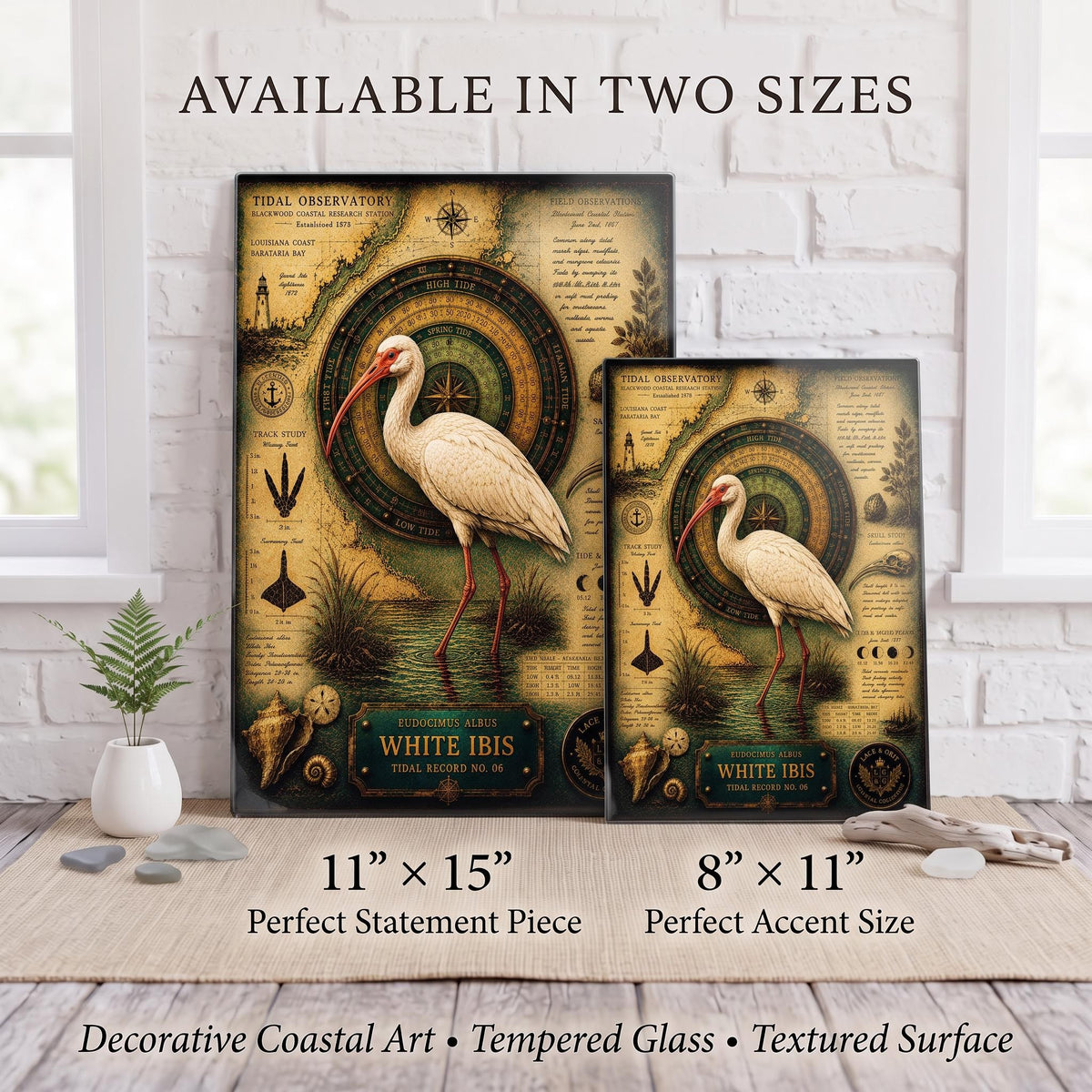 White Ibis Tempered Glass Art Board | Coastal Field Studies