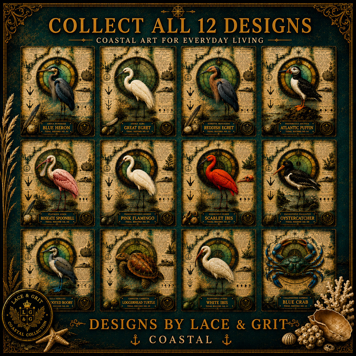 White Ibis Tempered Glass Art Board | Coastal Field Studies