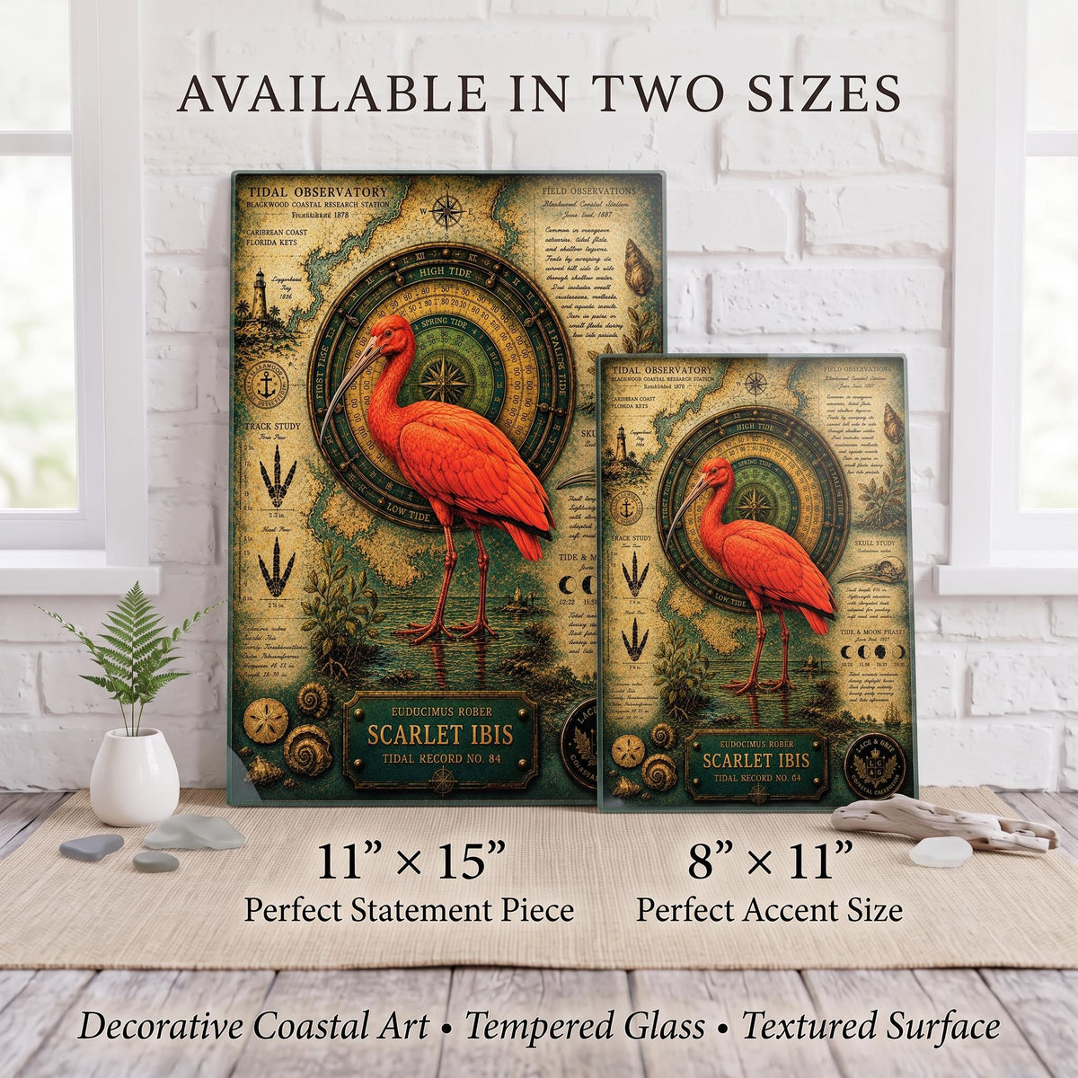 Scarlet Ibis Tempered Glass Art Board | Coastal Field Studies