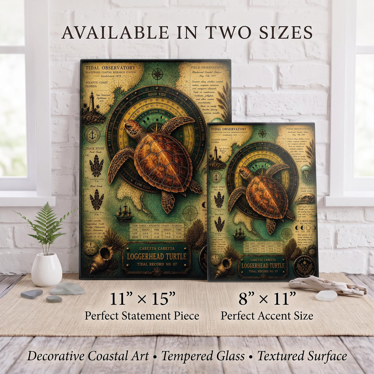Loggerhead Turtle Tempered Glass Art Board | Coastal Field Studies