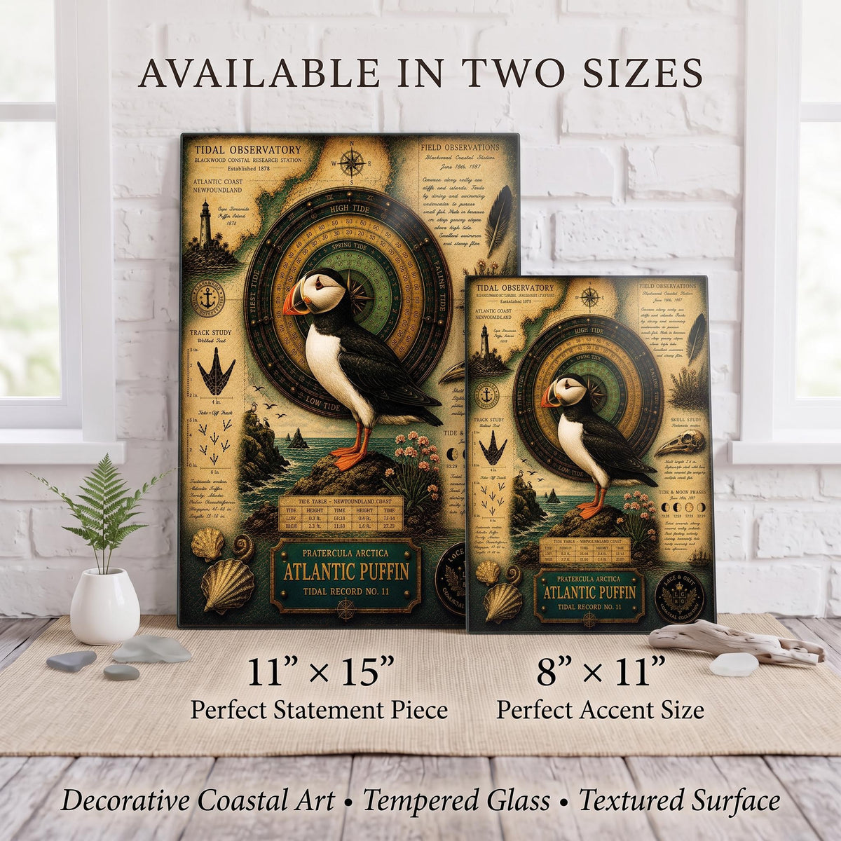 Atlantic Puffin Tempered Glass Art Board | Coastal Field Studies
