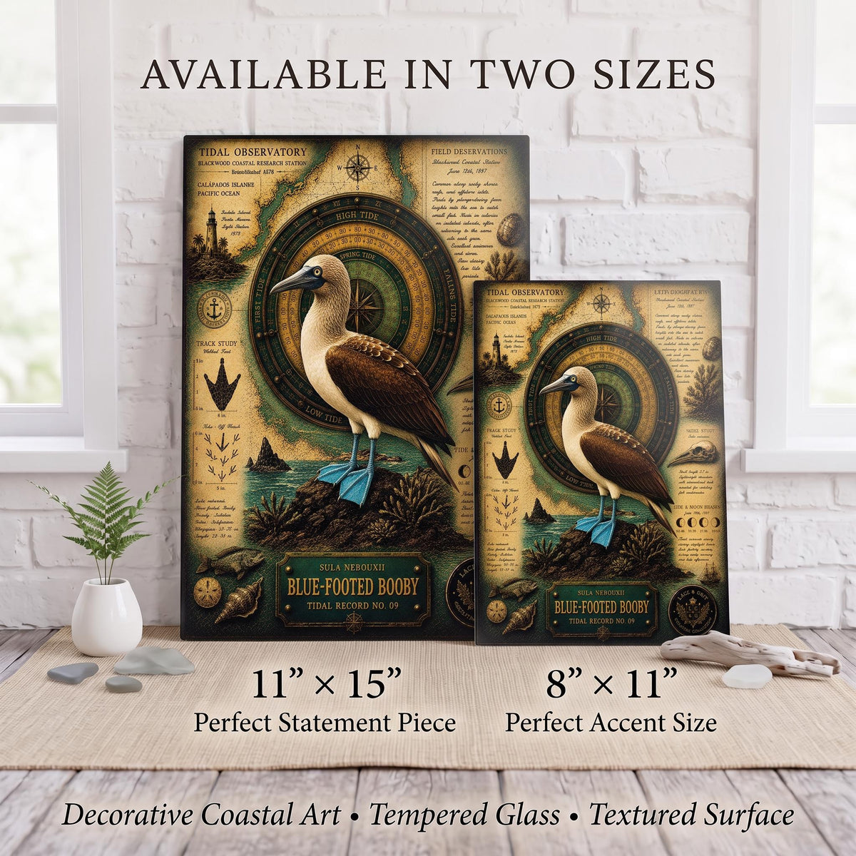 Blue-Footed Booby Tempered Glass Art Board | Coastal Field Studies