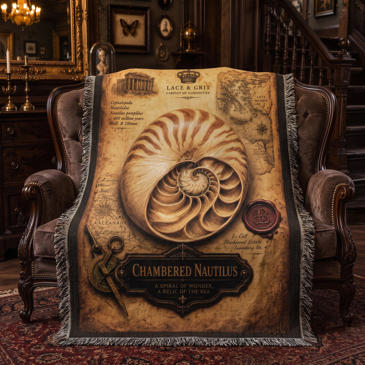 Chambered Nautilus Woven Throw Blanket | Cabinet of Curiosities Decor | Cotton Tapestry | Natural History Gift