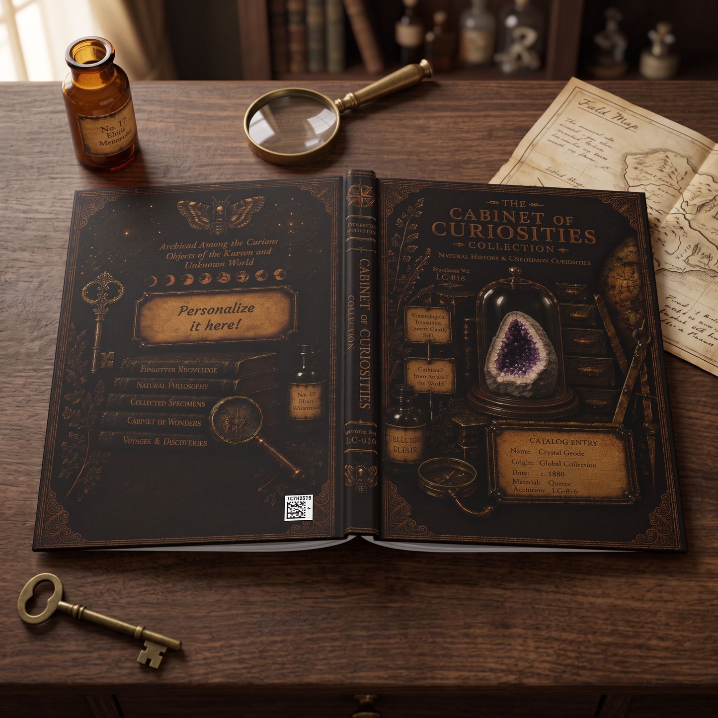 Crystal Geode Journal, Personalized Cabinet of Curiosities Hardcover Notebook, Crystal Lover Gift