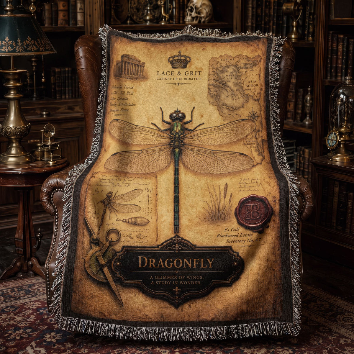 Dragonfly Specimen Woven Throw Blanket | Cabinet of Curiosities Decor | Cotton Tapestry | Natural History Gift