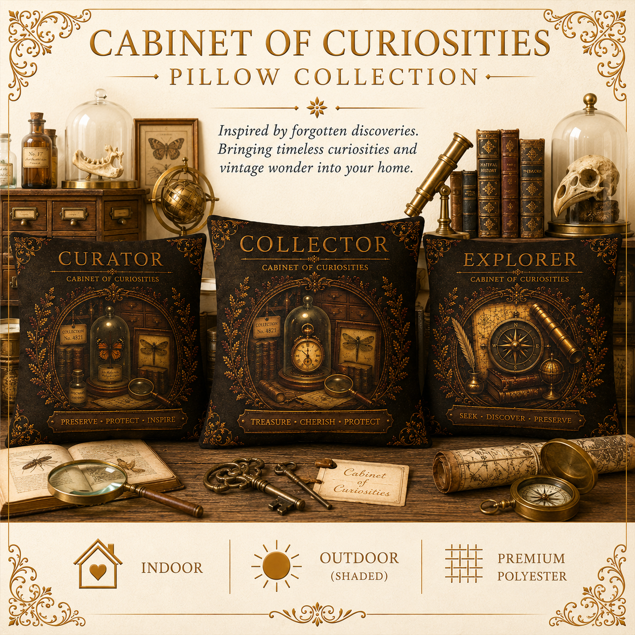 Explorer Cabinet of Curiosities Pillow, Dark Academia Throw Pillow, Library Decor Cushion, Museum Style Home Accent