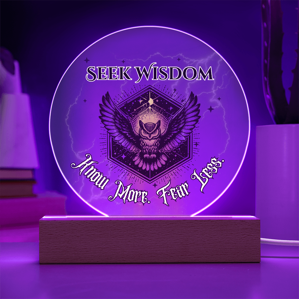 Seek Wisdom Owl Light – Know More Fear Less Acrylic Plaque Gift