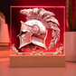 Armory Embossed Look Knight's Helm Plaque – Medieval Fantasy Light Panel