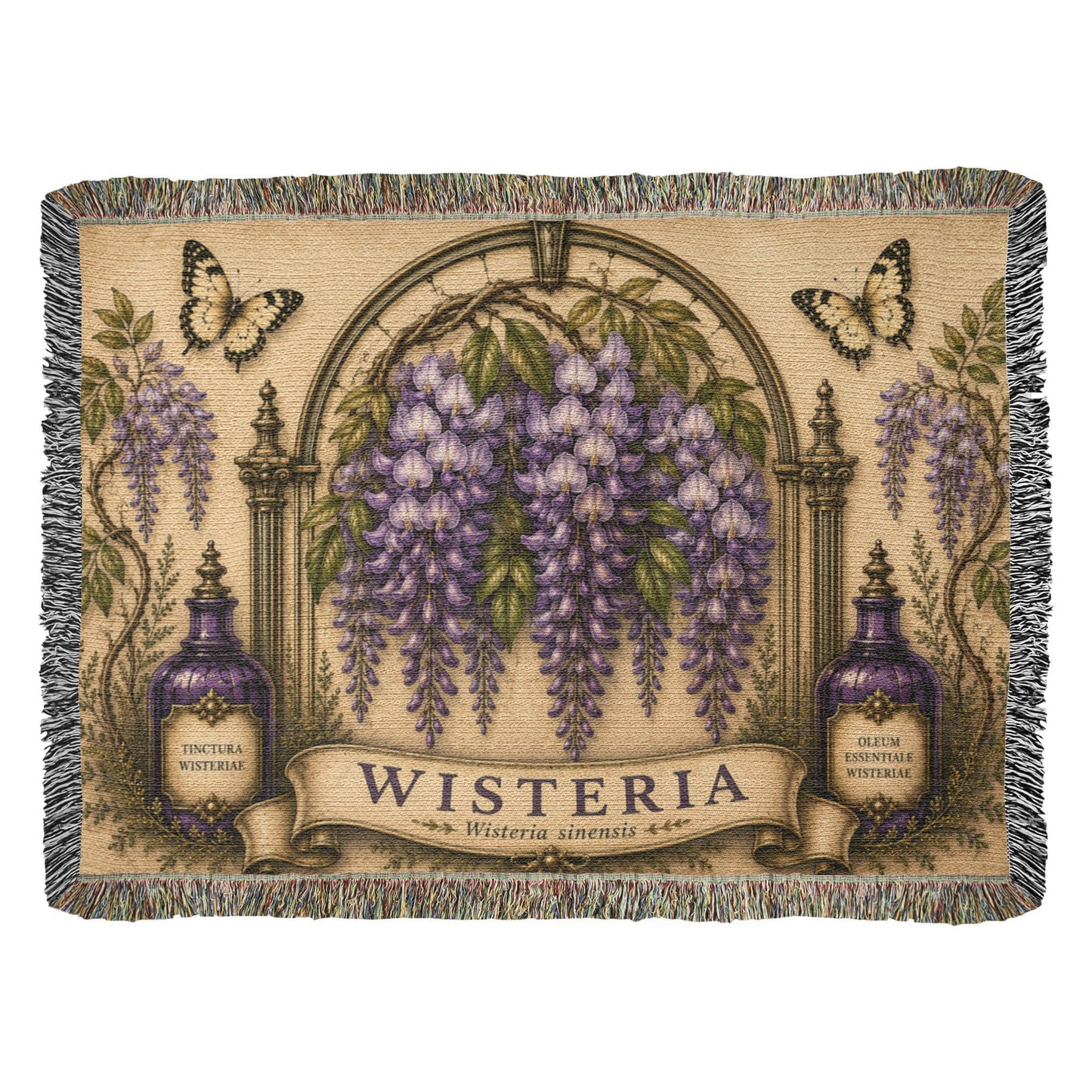 Wisteria Botanical