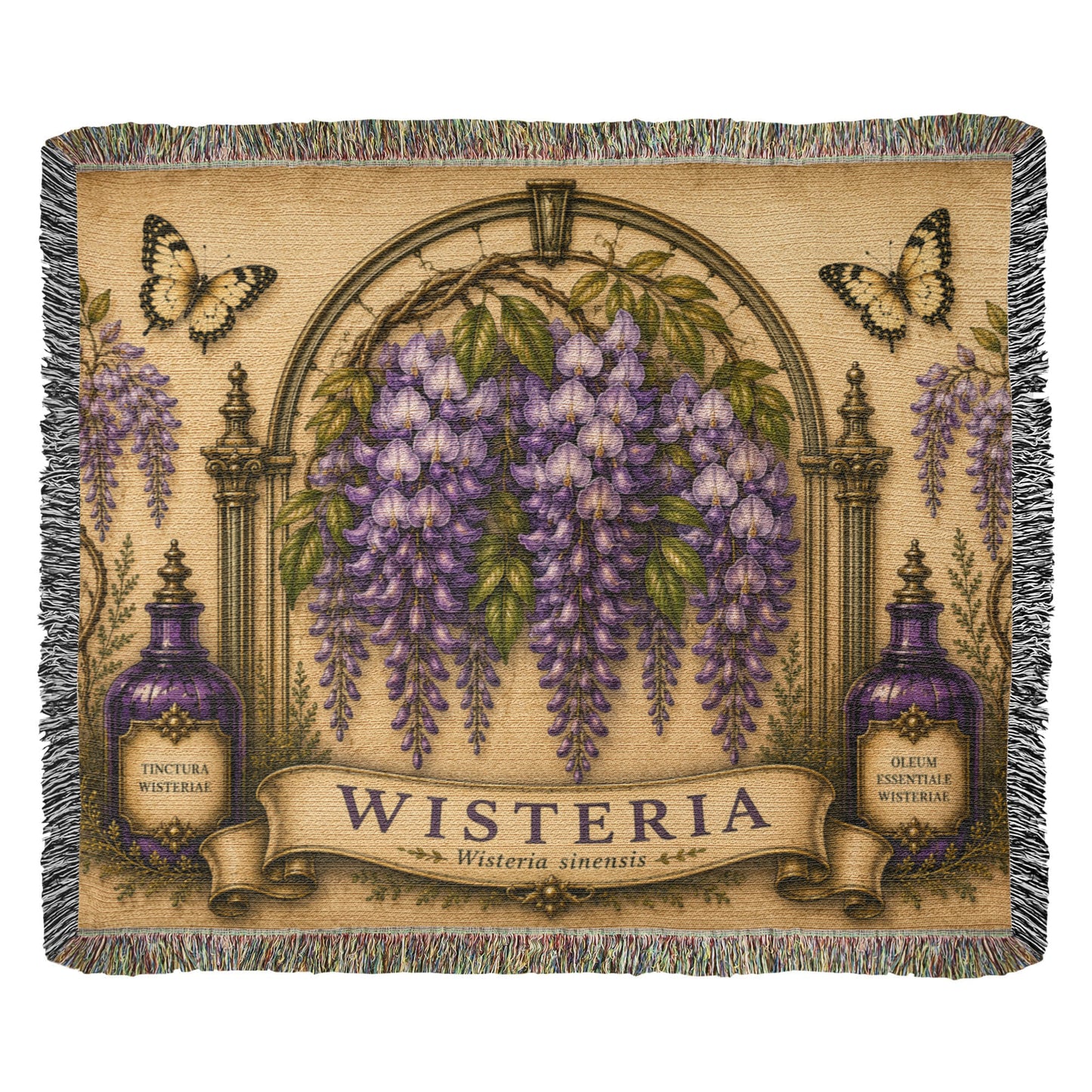 Wisteria Botanical