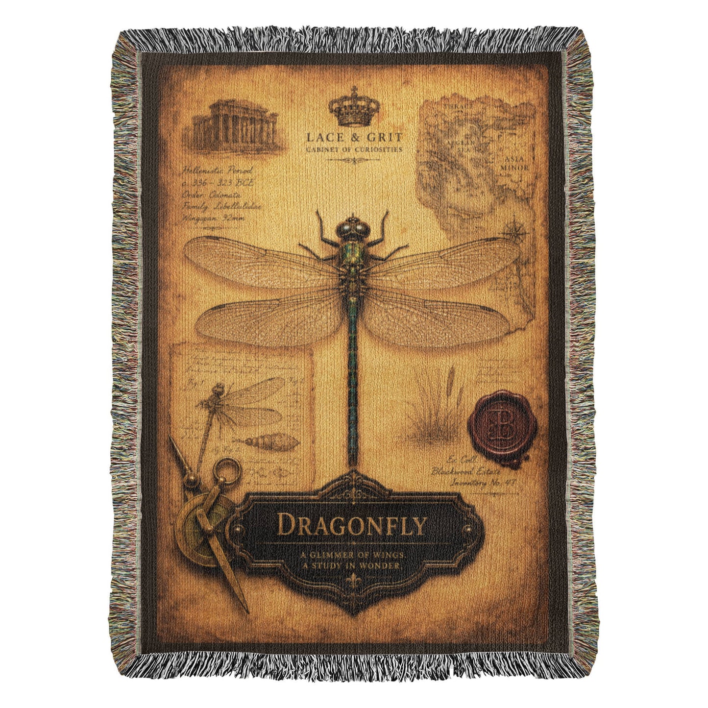 Dragonfly
