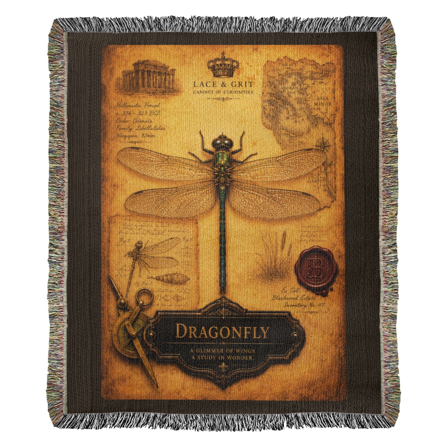 Dragonfly