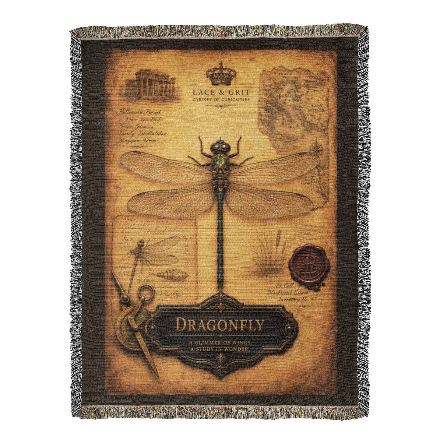 Dragonfly