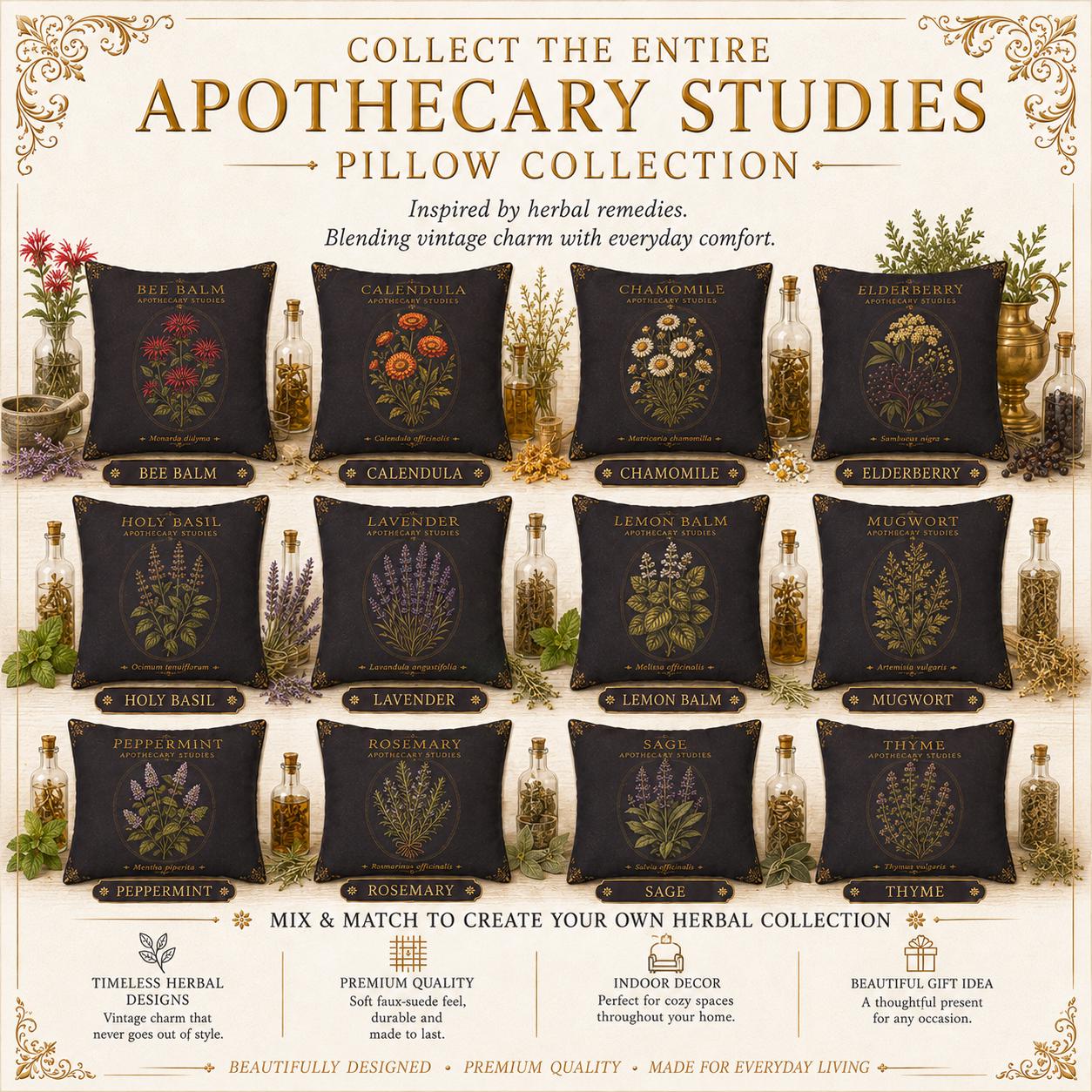 Chamomile Apothecary Pillow, Botanical Throw Pillow, Cottagecore Cushion, Dark Academia Decor, Herbal Home Accent