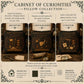 Antiquarian Cabinet of Curiosities Pillow, Dark Academia Throw Pillow, Library Decor Cushion, Museum Style Home Accent