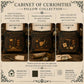 Natural Philosopher Cabinet of Curiosities Pillow, Dark Academia Throw Pillow, Library Decor Cushion, Museum Style Home Accent