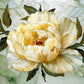 Peony Metal Kitchen Backsplash Panel, Stained Glass Inspired Wall Art